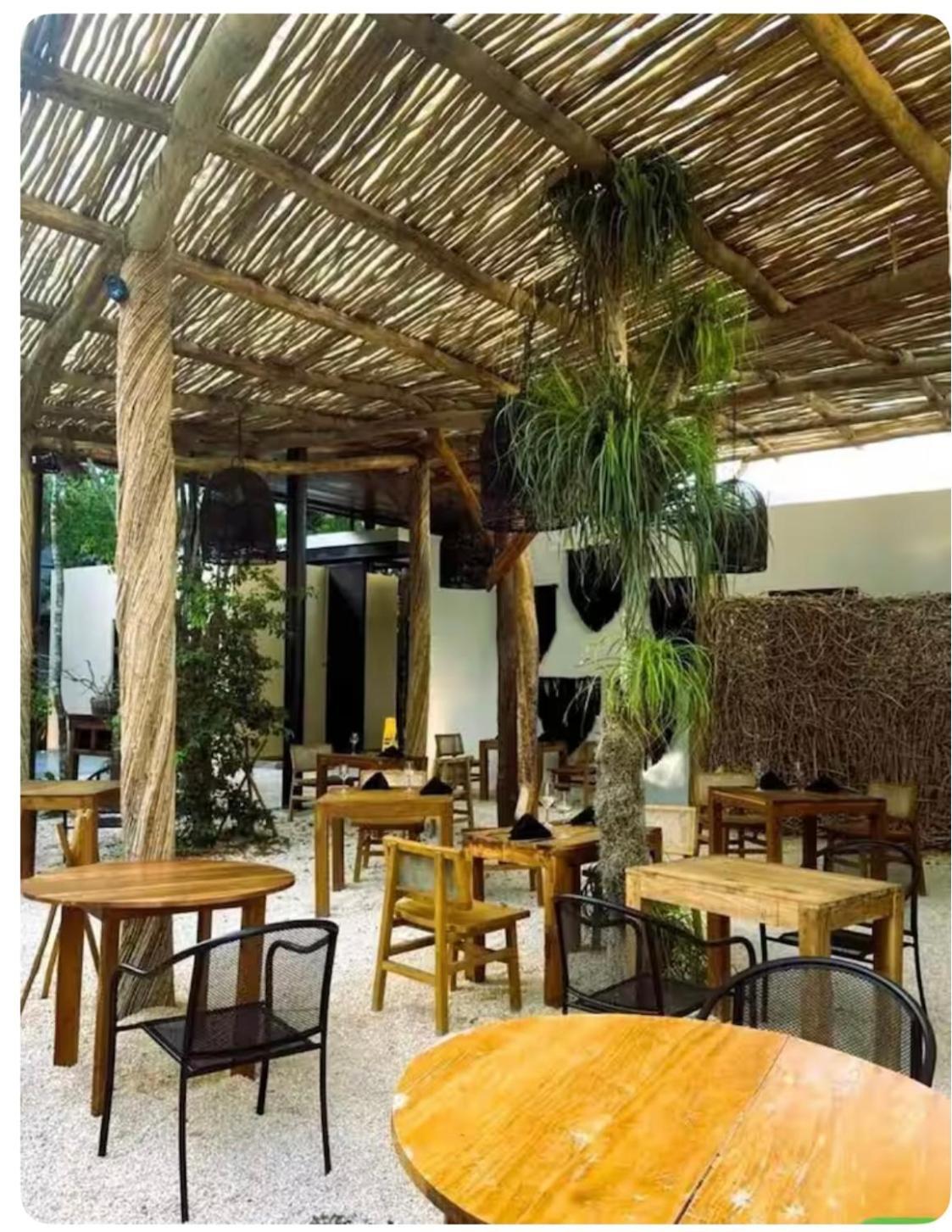 Tu Escape En Appartamento Tulum
